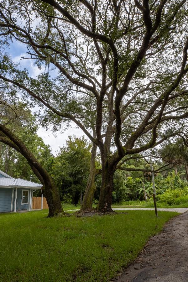 Recharge Getaway To Historic Downtown & Beach New Build St. Augustine Exterior foto